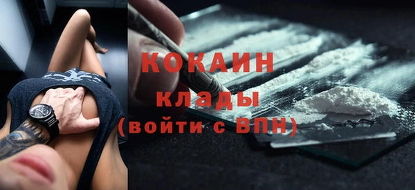 ГАЛЛЮЦИНОГЕННЫЕ ГРИБЫ Ладушкин