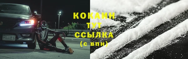 ГАЛЛЮЦИНОГЕННЫЕ ГРИБЫ Ладушкин