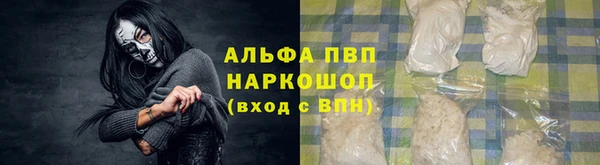 ГАЛЛЮЦИНОГЕННЫЕ ГРИБЫ Ладушкин
