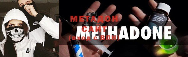 ГАЛЛЮЦИНОГЕННЫЕ ГРИБЫ Ладушкин