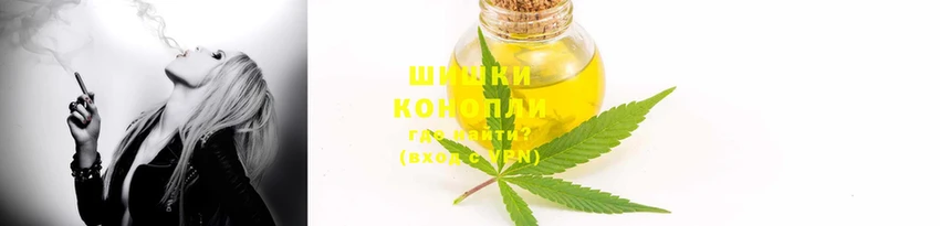 ГАЛЛЮЦИНОГЕННЫЕ ГРИБЫ Ладушкин