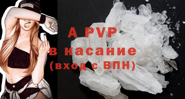 ГАЛЛЮЦИНОГЕННЫЕ ГРИБЫ Ладушкин