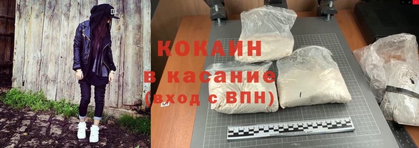 ГАЛЛЮЦИНОГЕННЫЕ ГРИБЫ Ладушкин