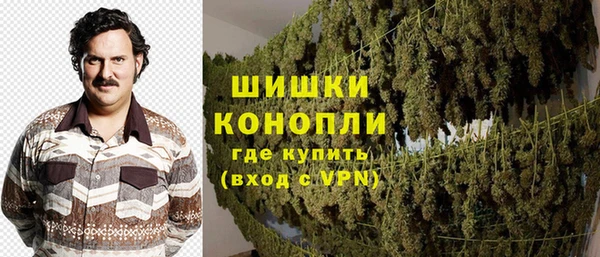 ГАЛЛЮЦИНОГЕННЫЕ ГРИБЫ Ладушкин