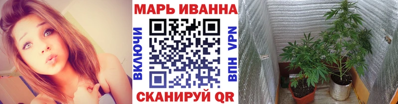 Купить закладки  Фокино  Бошки марихуана ГИДРОПОН 